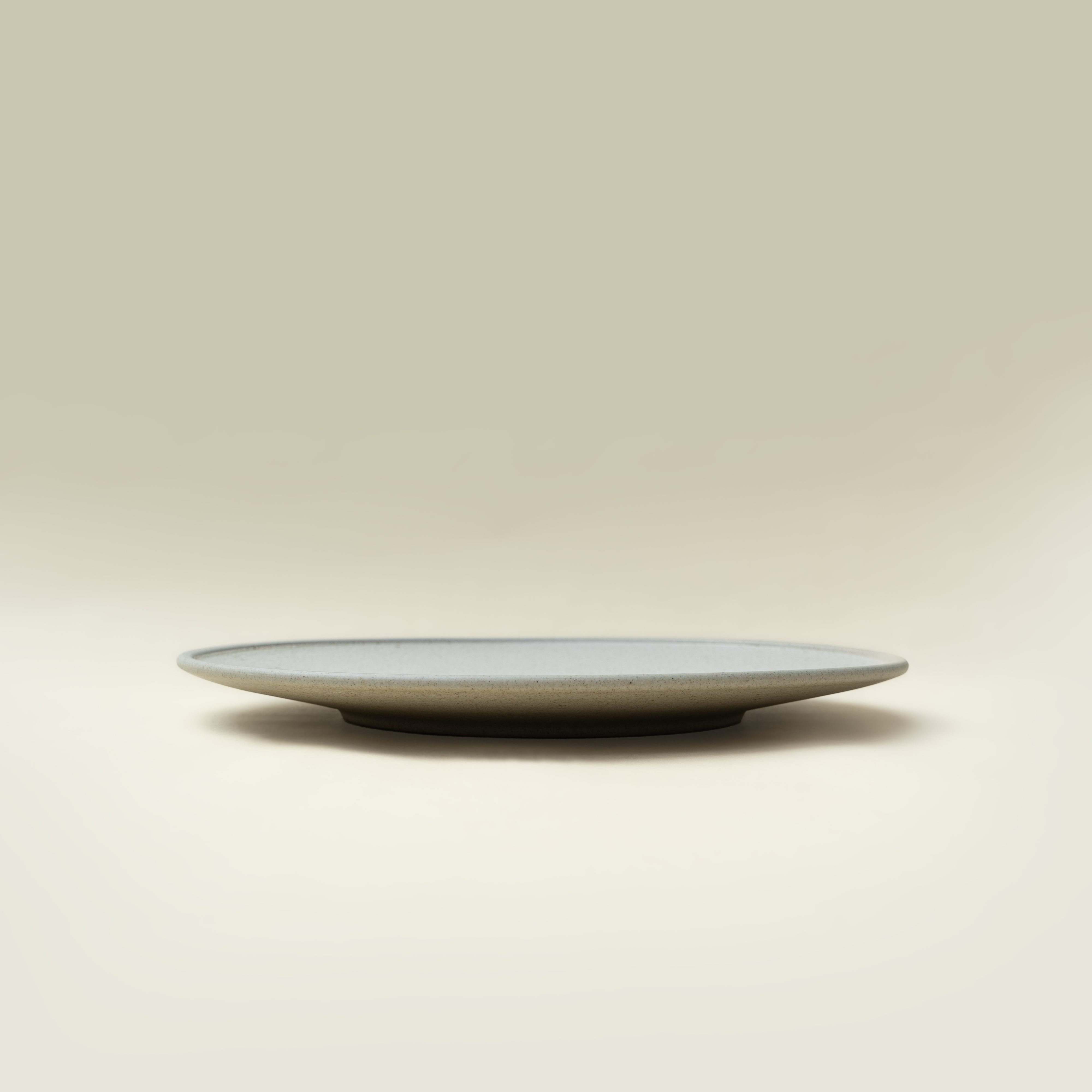 Night & Day - Dinner Plate 26cm